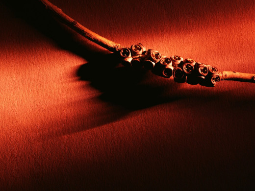 392991 (a): :1024x768